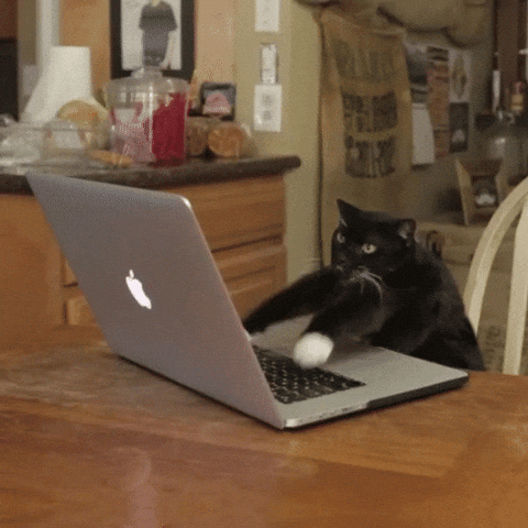 giphy