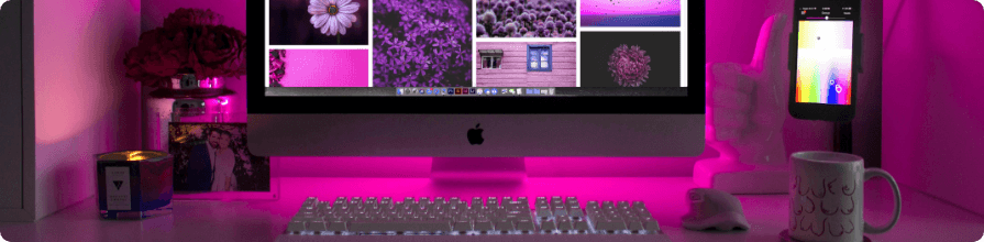 pexels designecologist 1779487